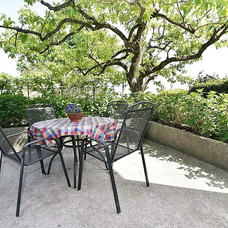 Apartman Vini